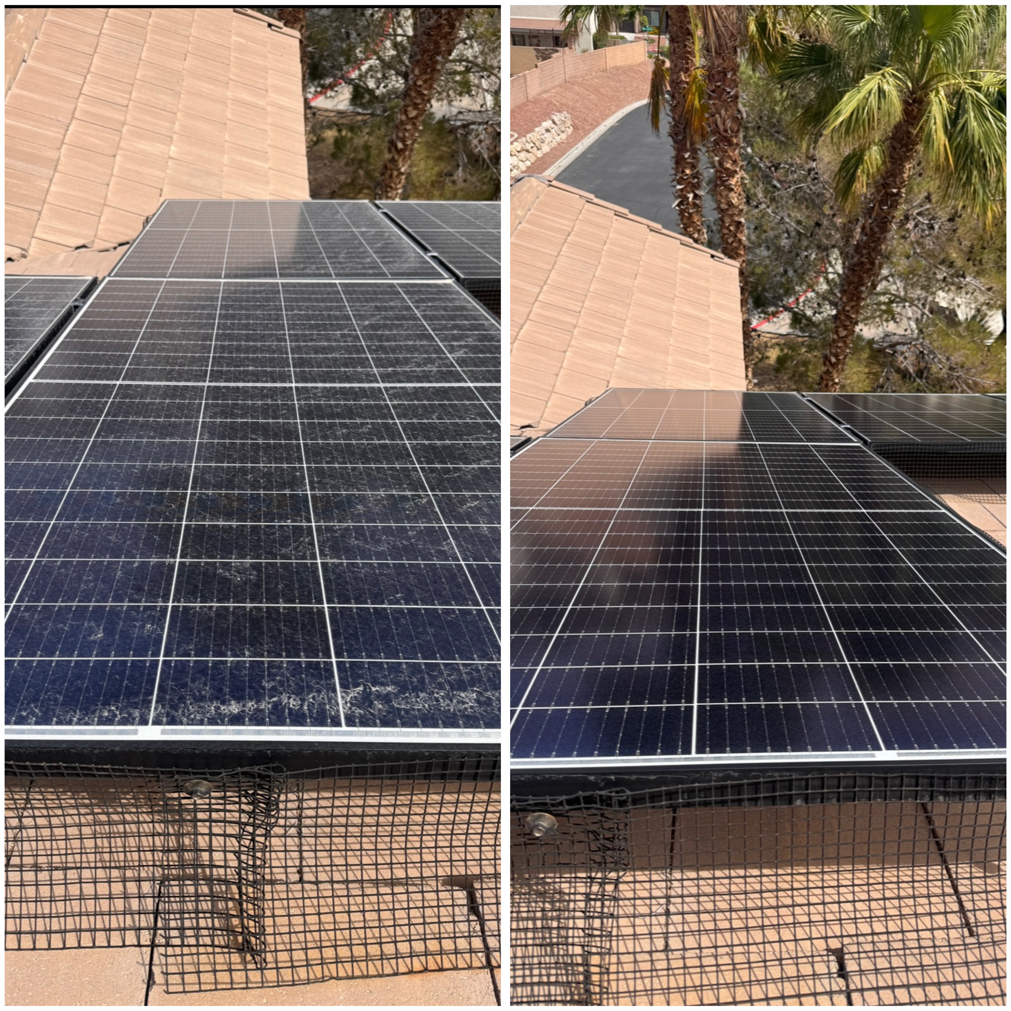 Solar panel cleaning service